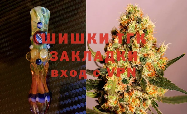 прущие грибы Пересвет