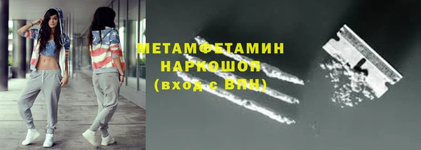прущие грибы Пересвет