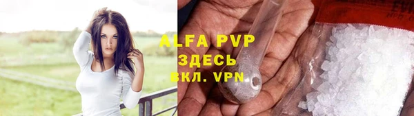 прущие грибы Пересвет