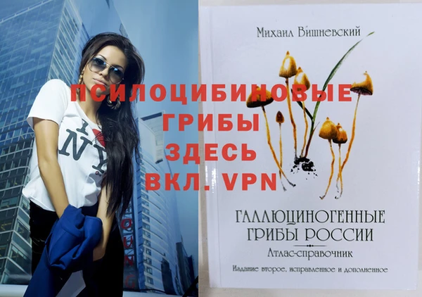 герыч Переславль-Залесский