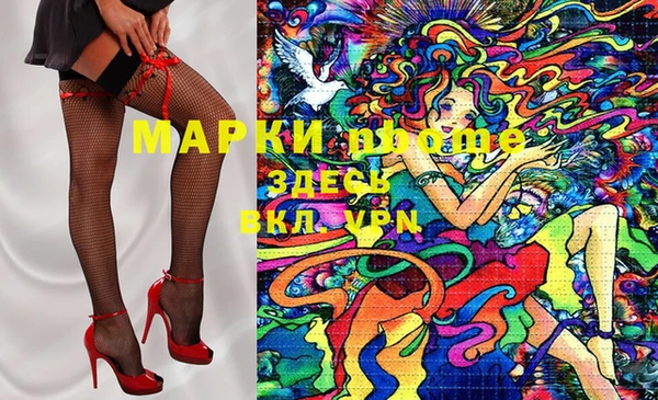прущие грибы Пересвет