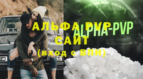 прущие грибы Пересвет