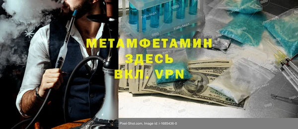 прущие грибы Пересвет
