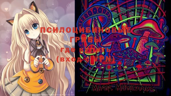 прущие грибы Пересвет